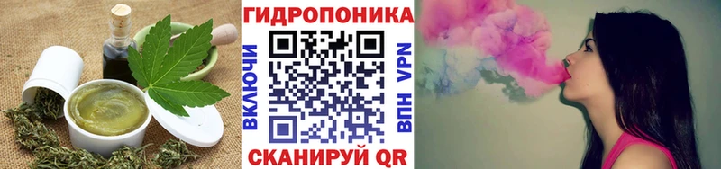 MEGA ТОР  Приозерск  Cannafood конопля  дарнет шоп 