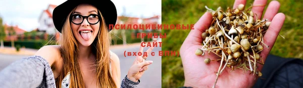 винт Аркадак