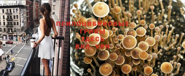 МДПВ Армянск