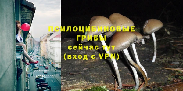 МДПВ Армянск