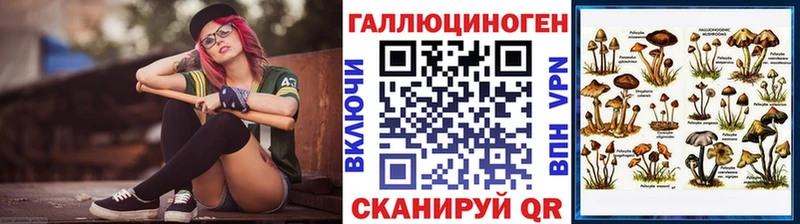 shop Telegram  Приозерск  Галлюциногенные грибы Magic Shrooms  как найти наркотики 